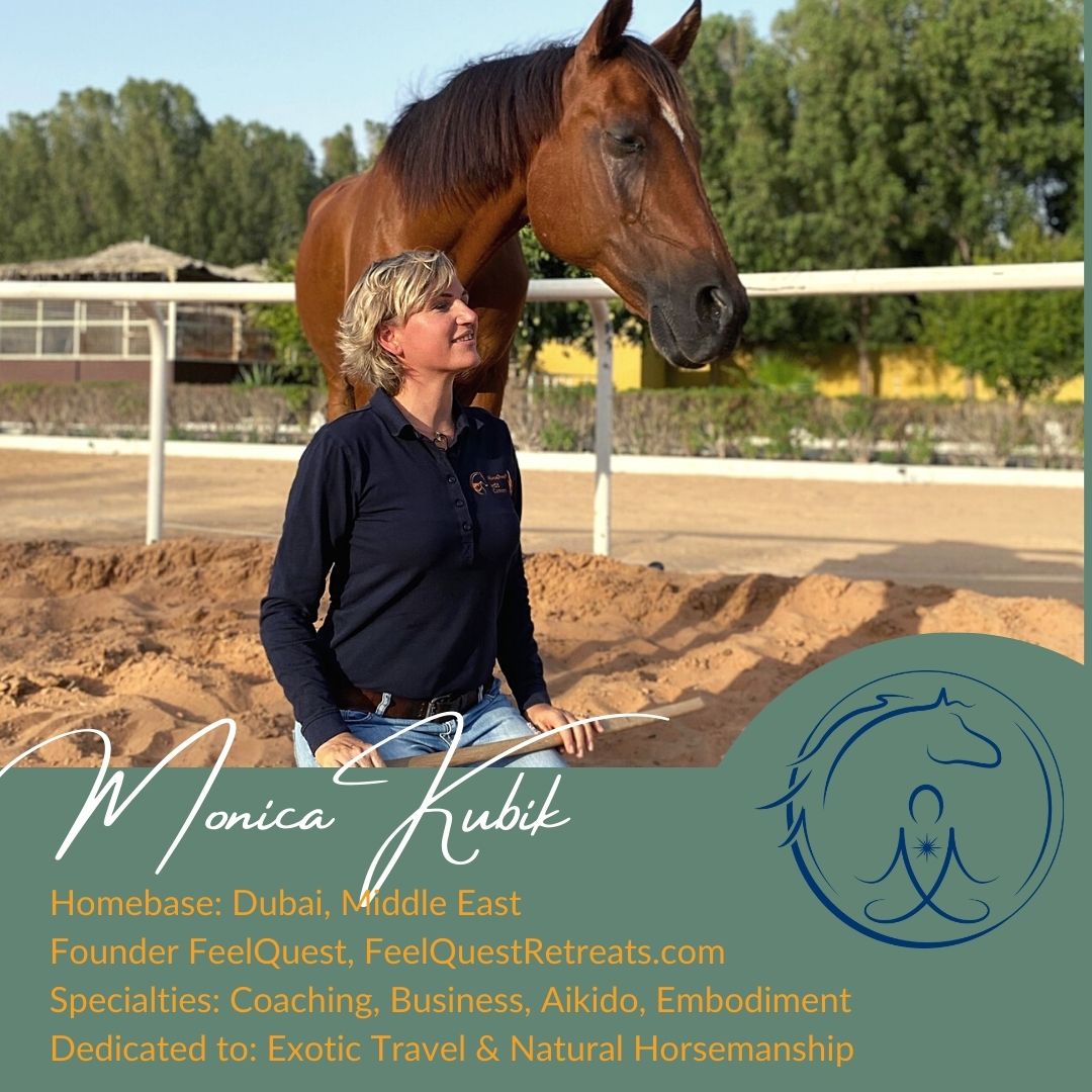 Dubai, Middle East, Aikido, Embodiment, Coaching with horses, Feelquest, Feelquest Retreats, Monica Kubik