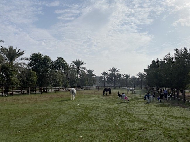 circle mothers support group meeting workshop horses dubai