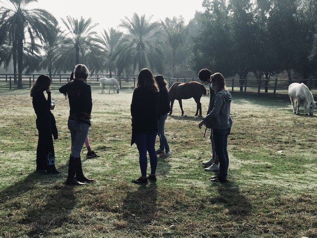 mothers circle mum friends horses grass nature time self healing selfexperience