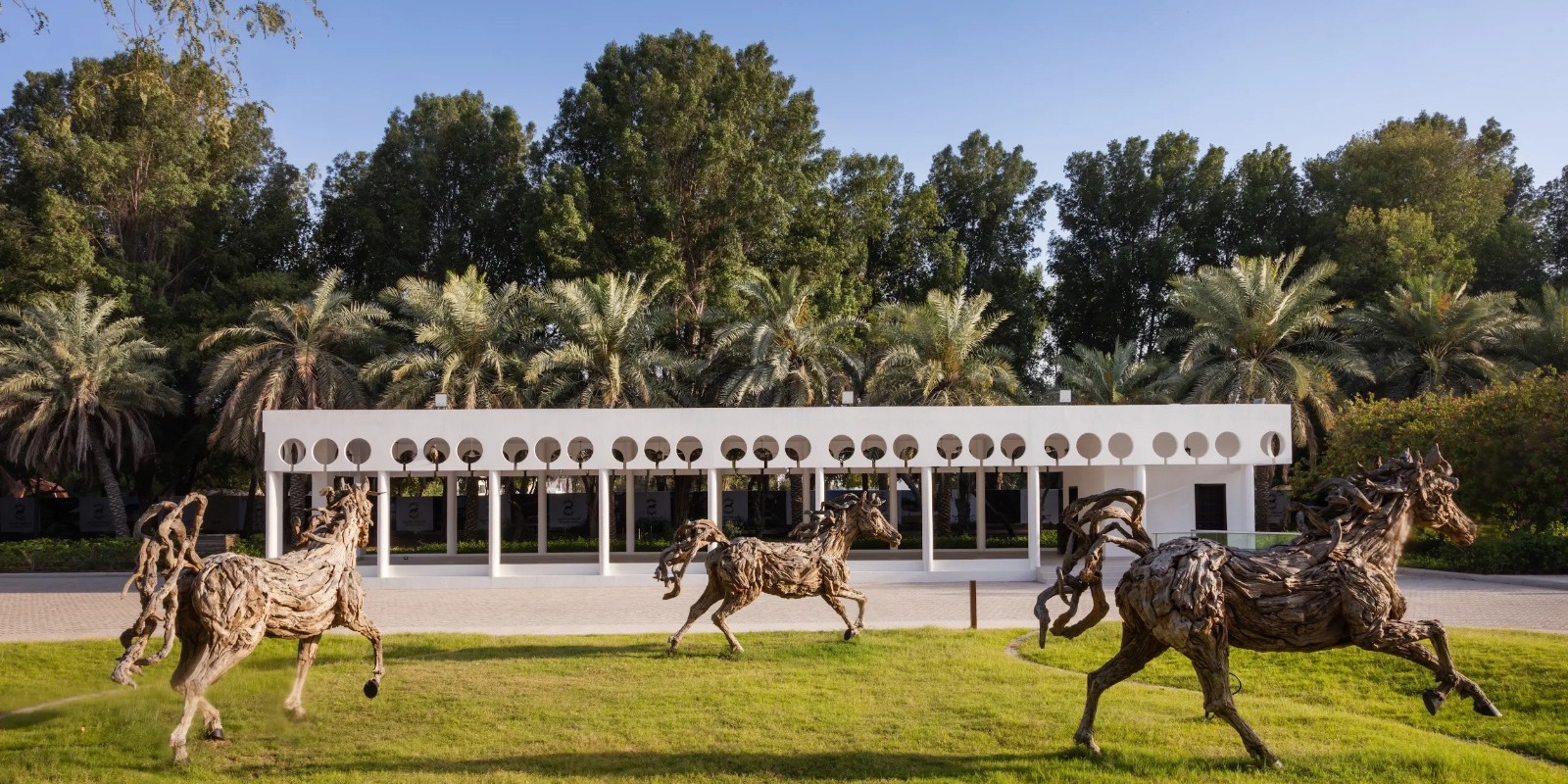 corporate wellbeing with horses abu dhabi royal stables corporate wellbeing with horses abu dhabi royal stables