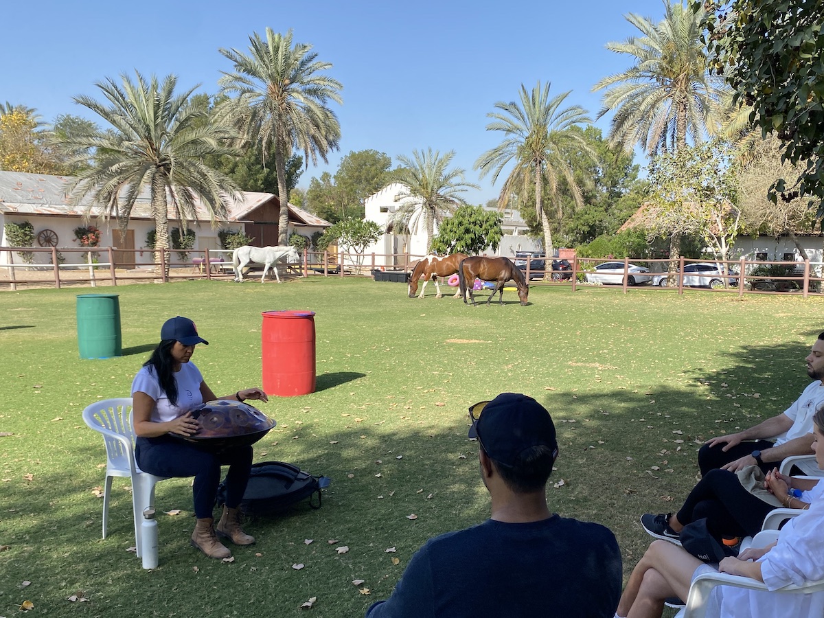 soundhealing and meditation hangdrum coaching session dubai horses healing