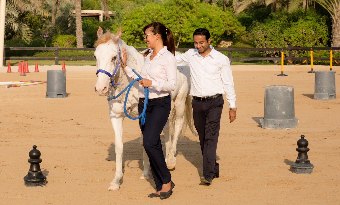 Equine based team building in Dubai with horses