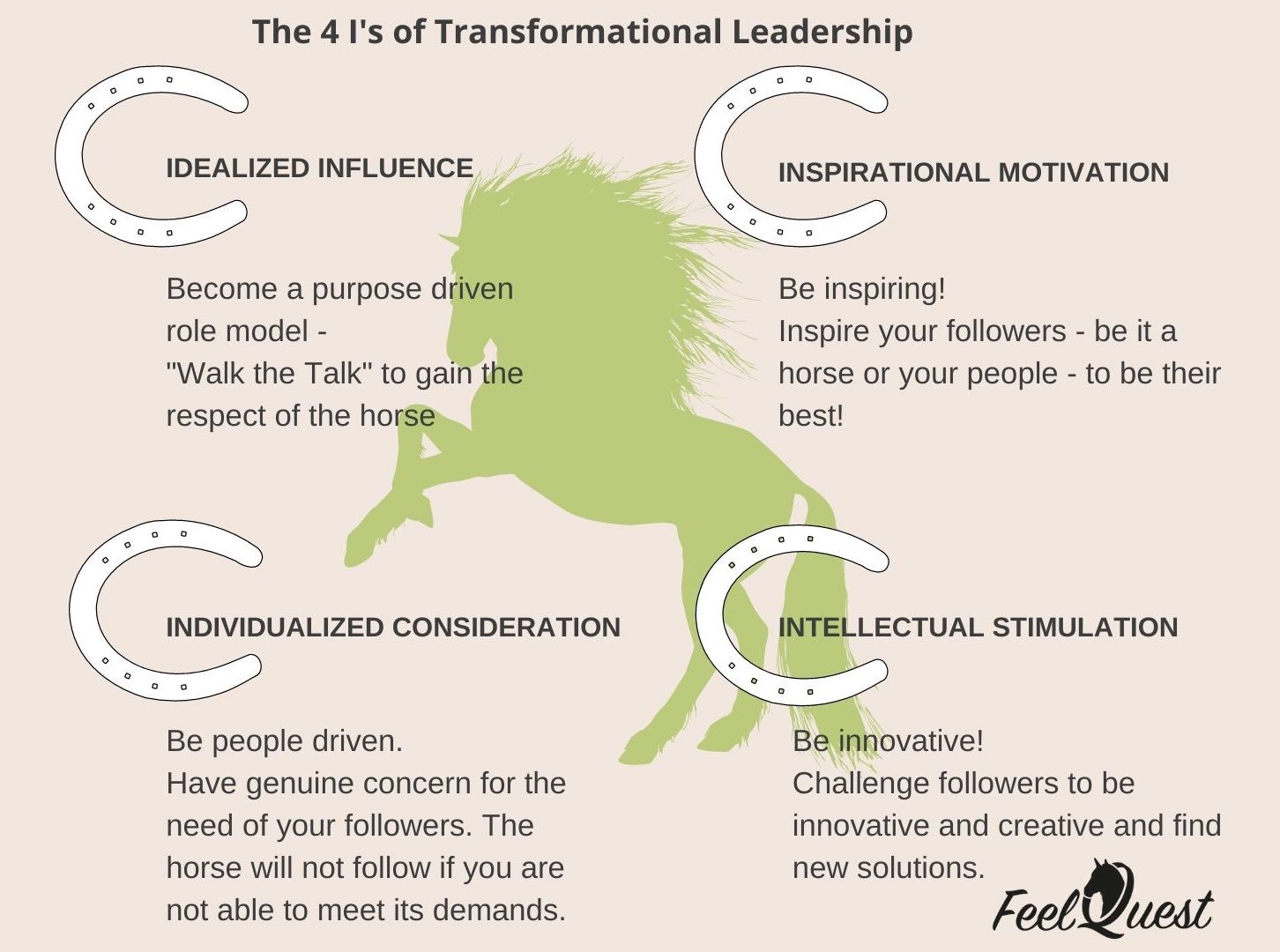 Practical, straight to the point, and actually leading instead of just talking about leadership... find out how to apply transformational leadership