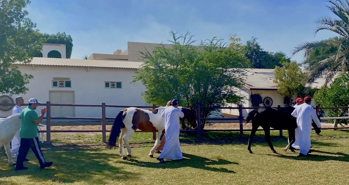 Arab men walking team