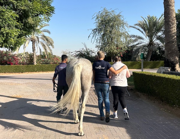 Equine therapy Dubai abu dhabi horse healing special needs