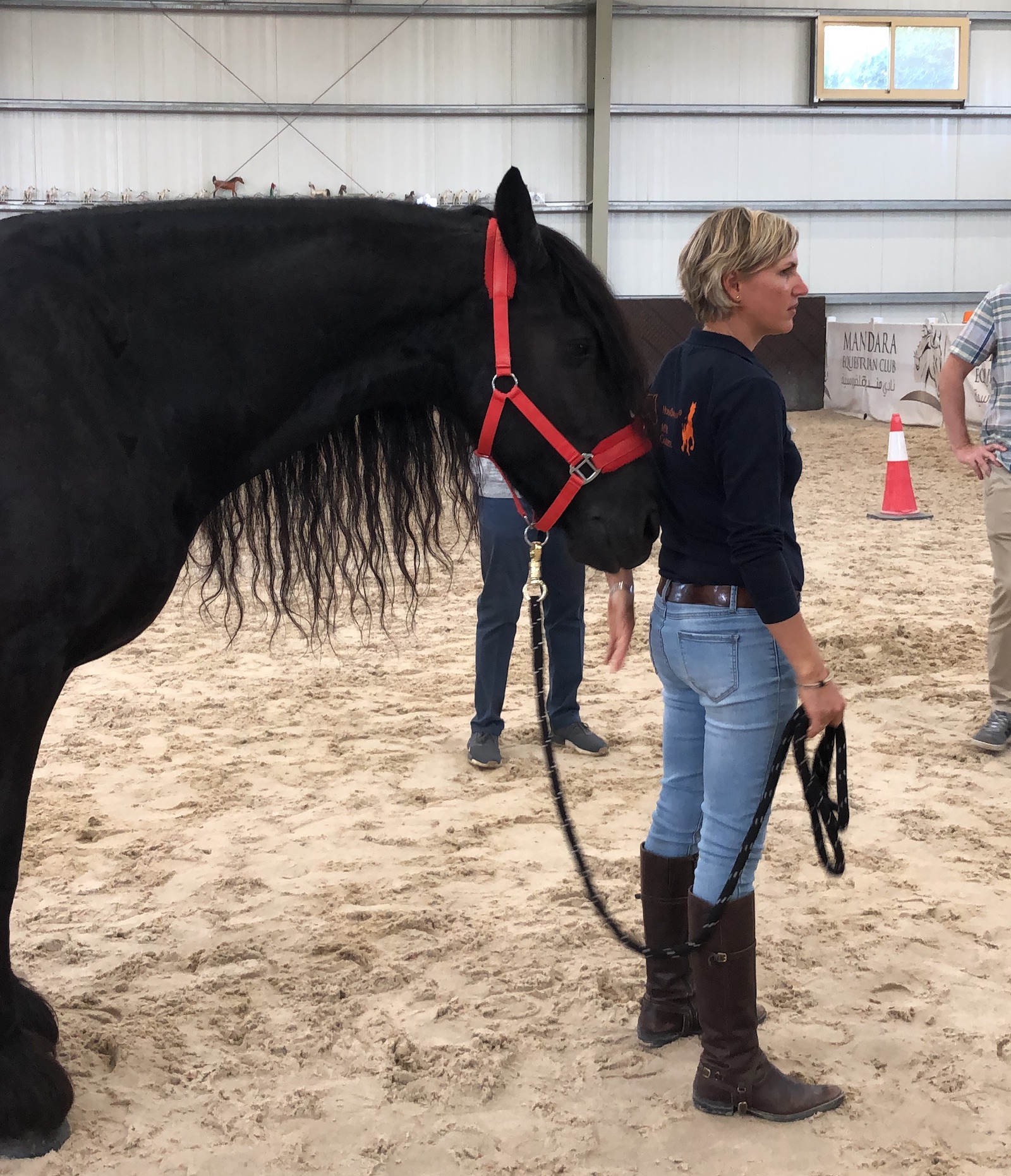 abu dhabi horse guided coaching leadership corporate training