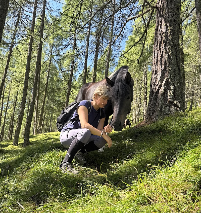 horses living free almautrieb pferde coaching