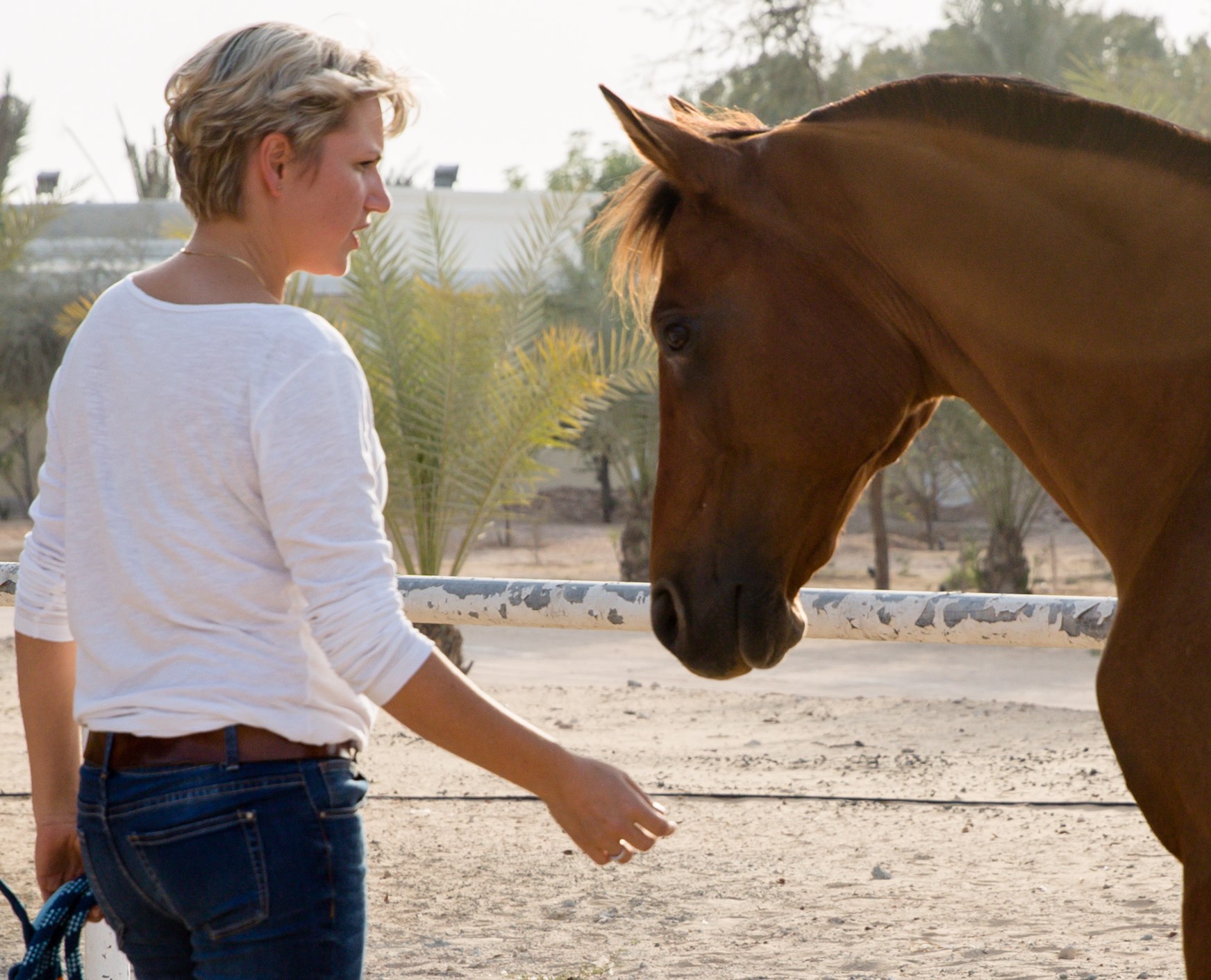 connect, horse, leadership, personal development, seminar, course, dubai
