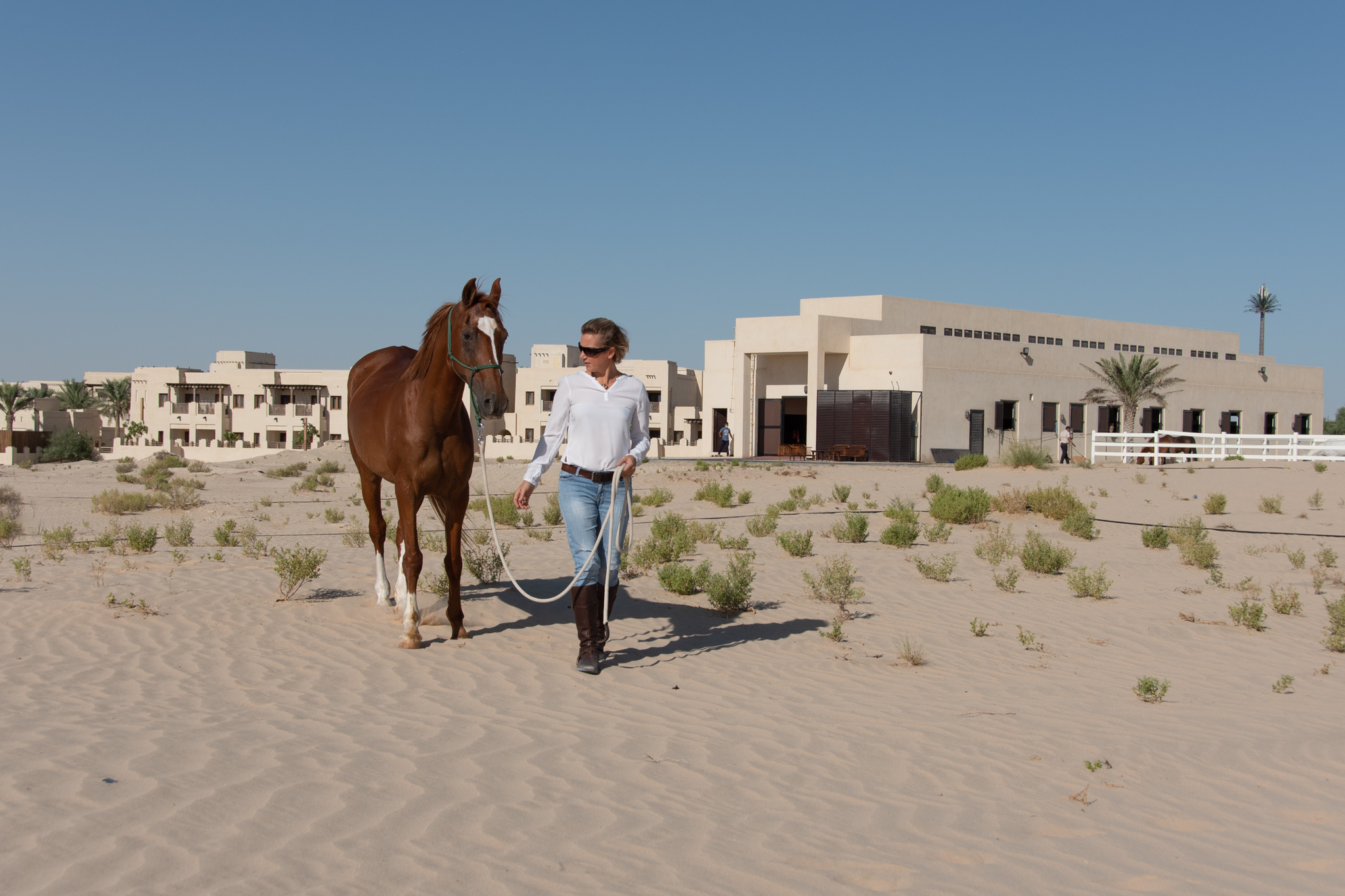 women in leadership development uae dubai abu dhabi trainings empowerment